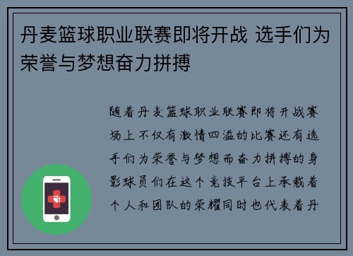 丹麦篮球职业联赛即将开战 选手们为荣誉与梦想奋力拼搏